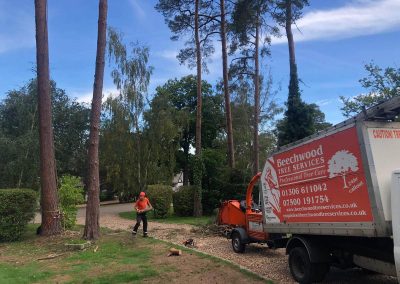 Responsibility Of A Tree Surgeon