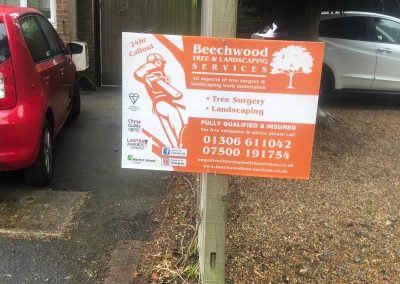 BeechWood Tree Services