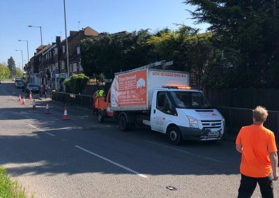 Tree Surgeon