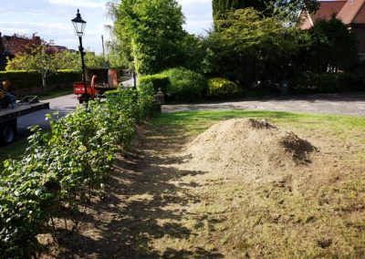 Tree Surgeon