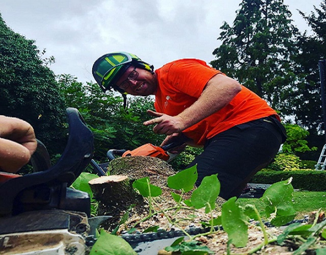 Tree Surgeon