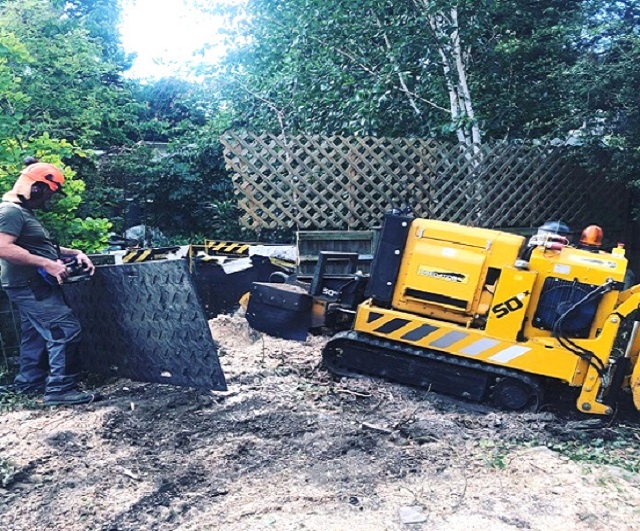 Tree Surgeon