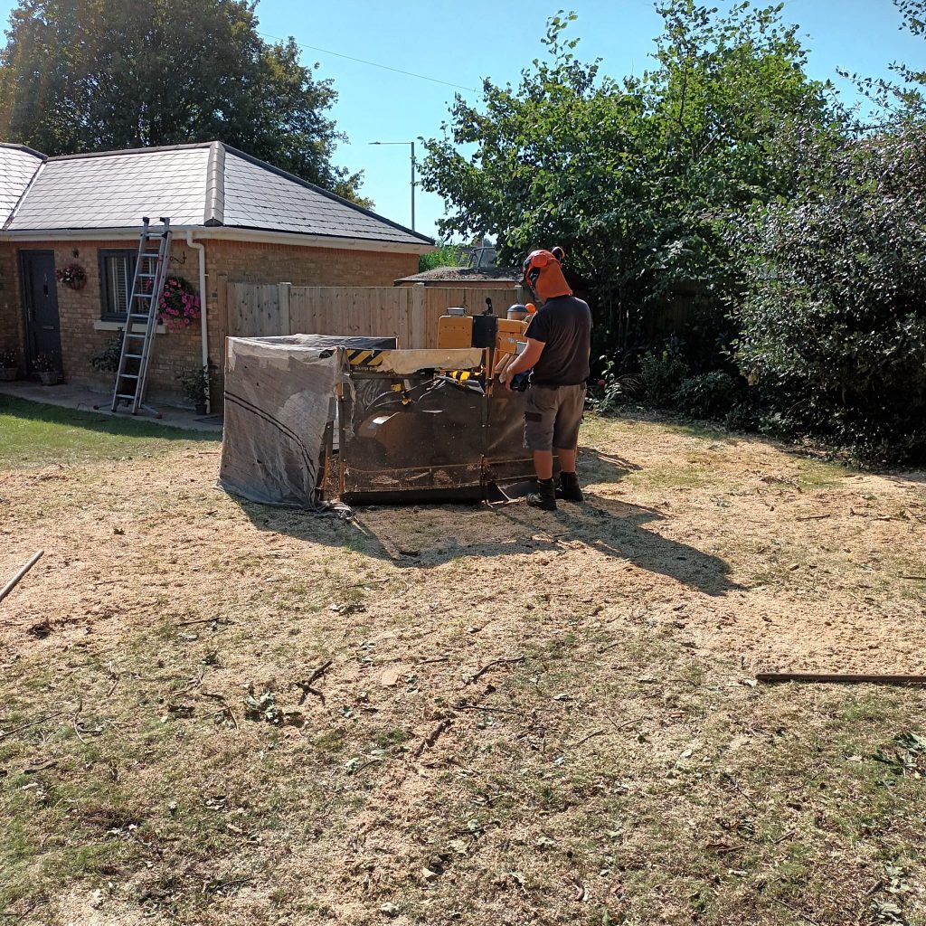The Art and Science of Stump Grinding: Transforming Your Landscape