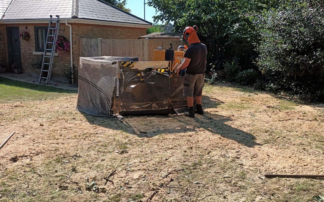 The Art and Science of Stump Grinding: Transforming Your Landscape