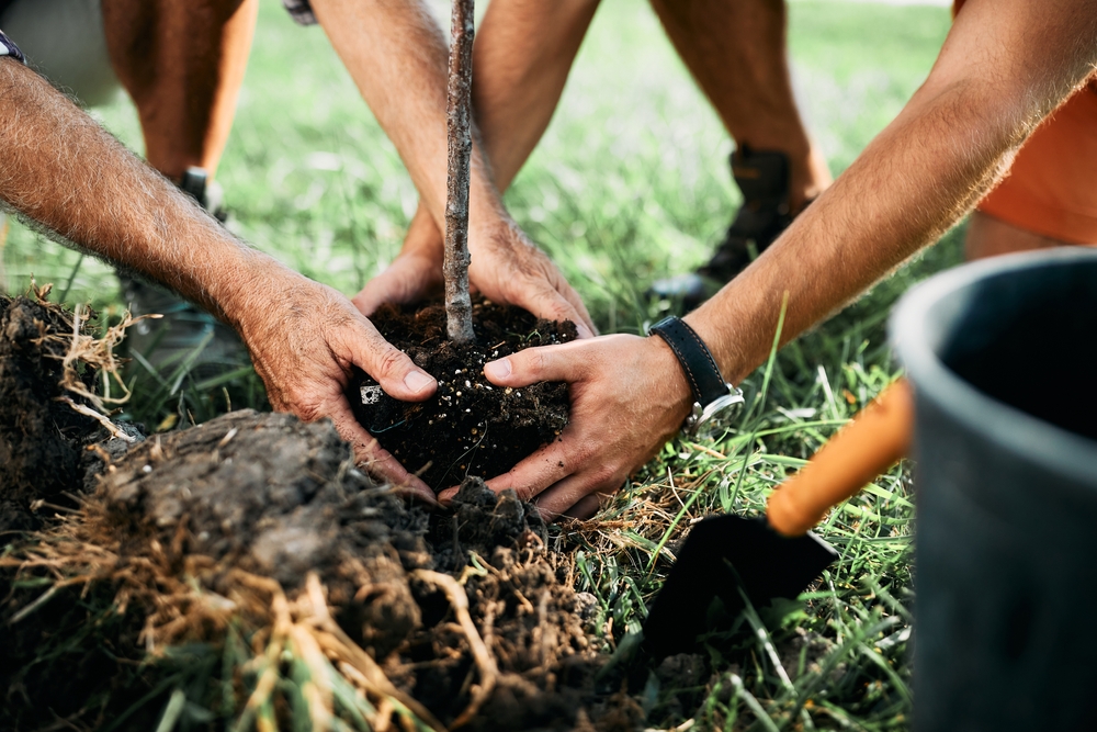 March Tree Planting