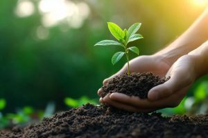 Planting Trees in March: What to Know Before Adding New Trees to Your Garden
