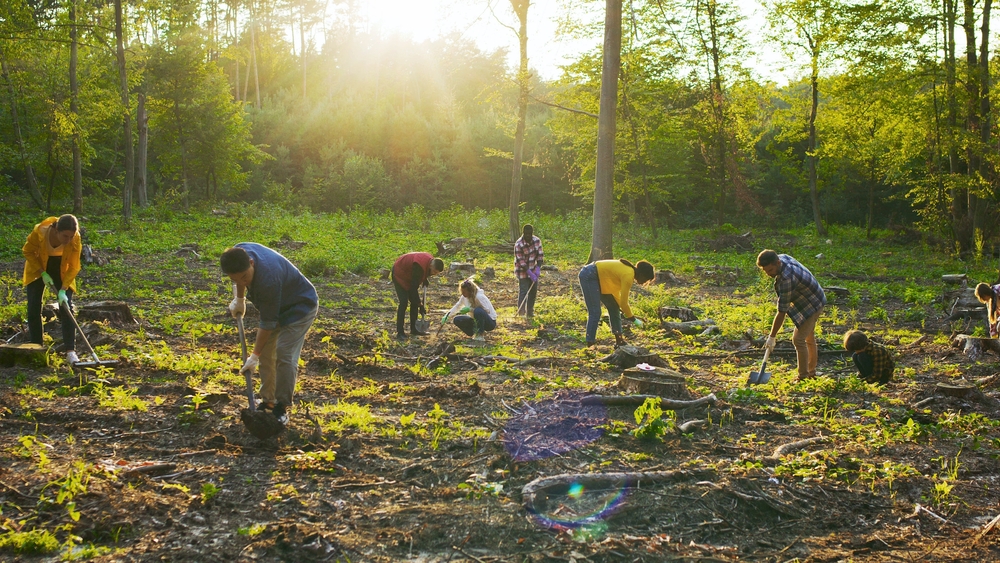 Planting Trees in March