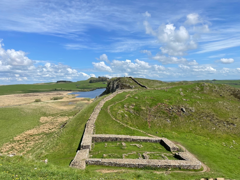 Wide view of Hadrian’s Wall and surrounding countryside, highlighting the historic setting of the Sycamore Gap tree and why tree preservation matters