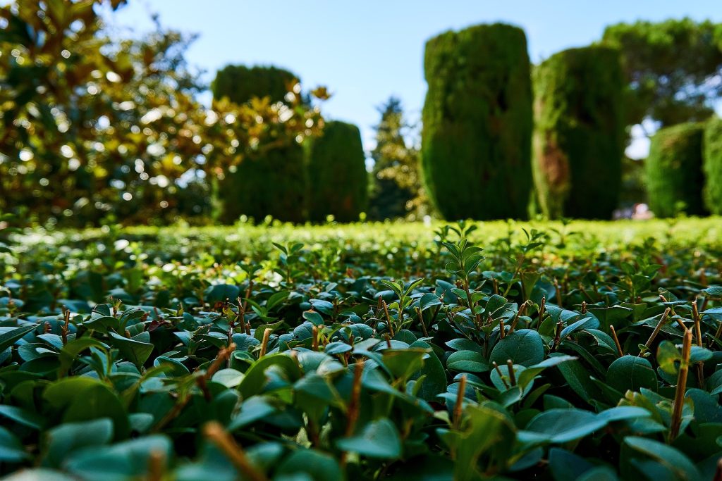 Preparing Your Outdoor Space for the Months Ahead
