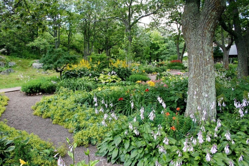 Summer Tree Care: How to Keep Your Trees Healthy During Hot Weather