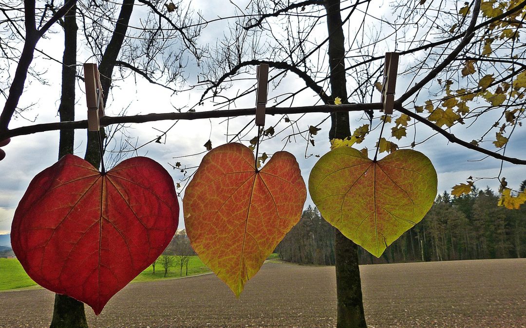 The Science Behind Autumn